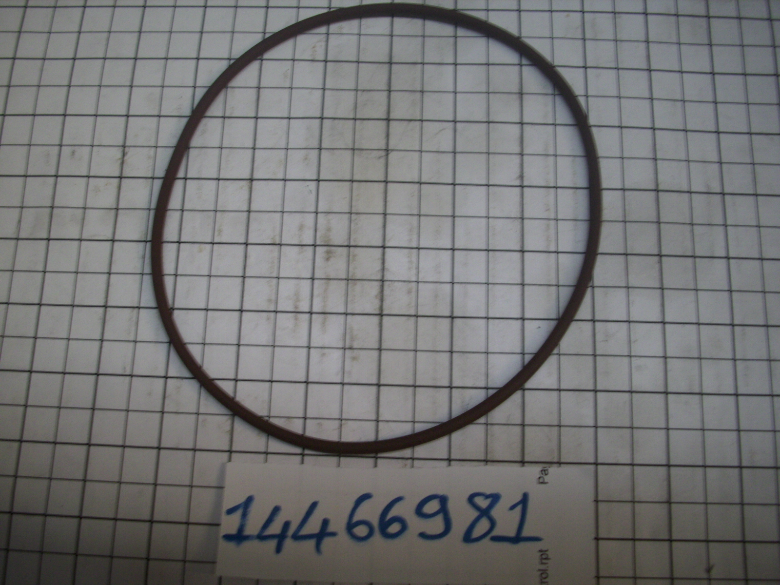 14466981 - O RING