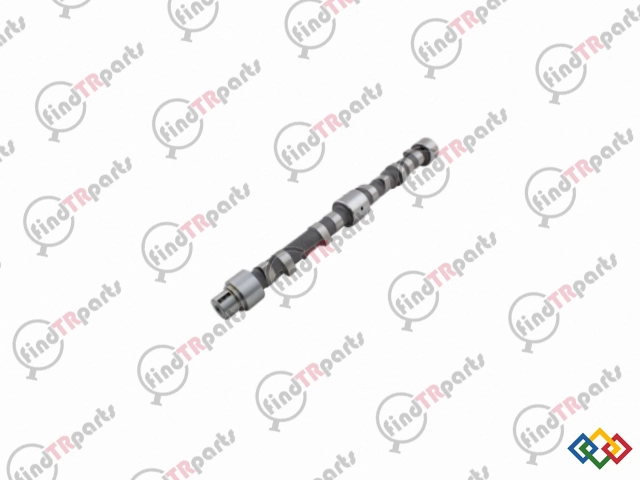 3141D131 - EKSANTRİK MİLİ