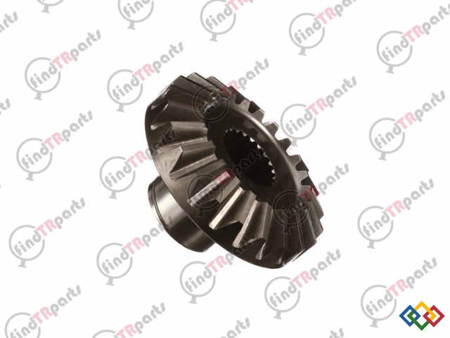 47137062 - AKS DİŞLİSİ