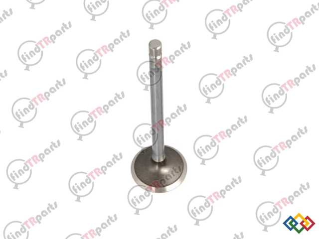 4895051 - EGZOST SUBAPI