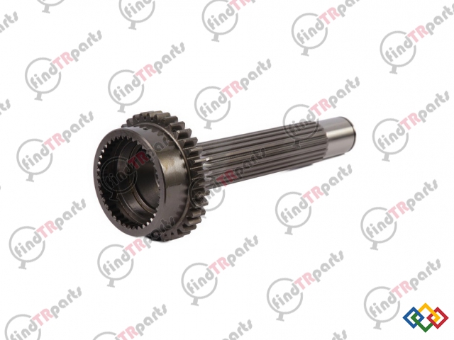 5161817 - PRİZDİREK MİLİ