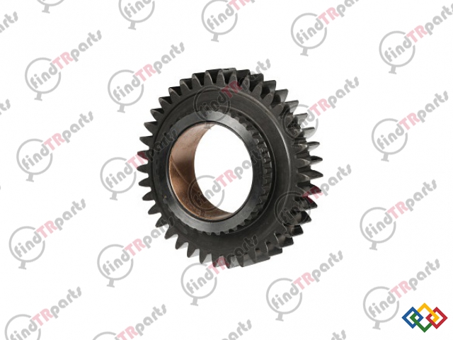 81869901 - DİŞLİ