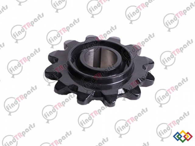 84072022 - BOĞAZ DİŞLİSİ