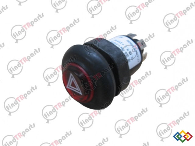 85806133 - DUGME-DORTLU FLASOR