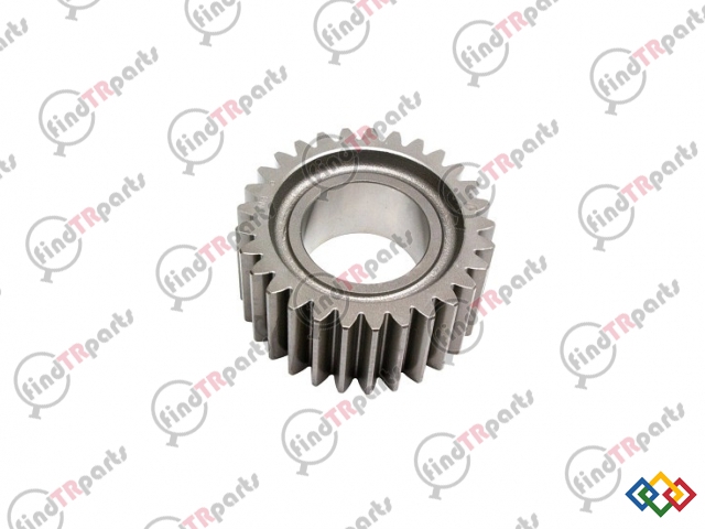 87330345 - DİSLİ