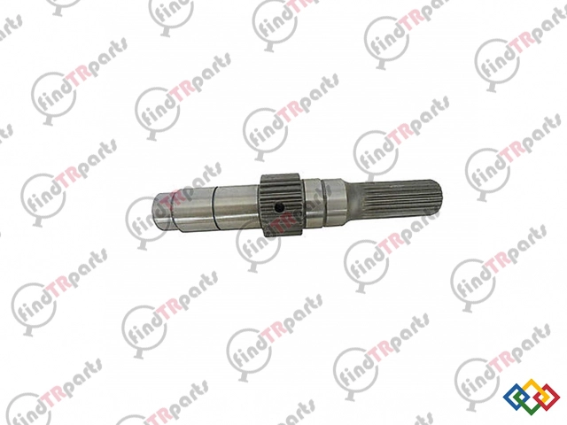 R124935 - YAVRU ŞANZUMAN MİLİ